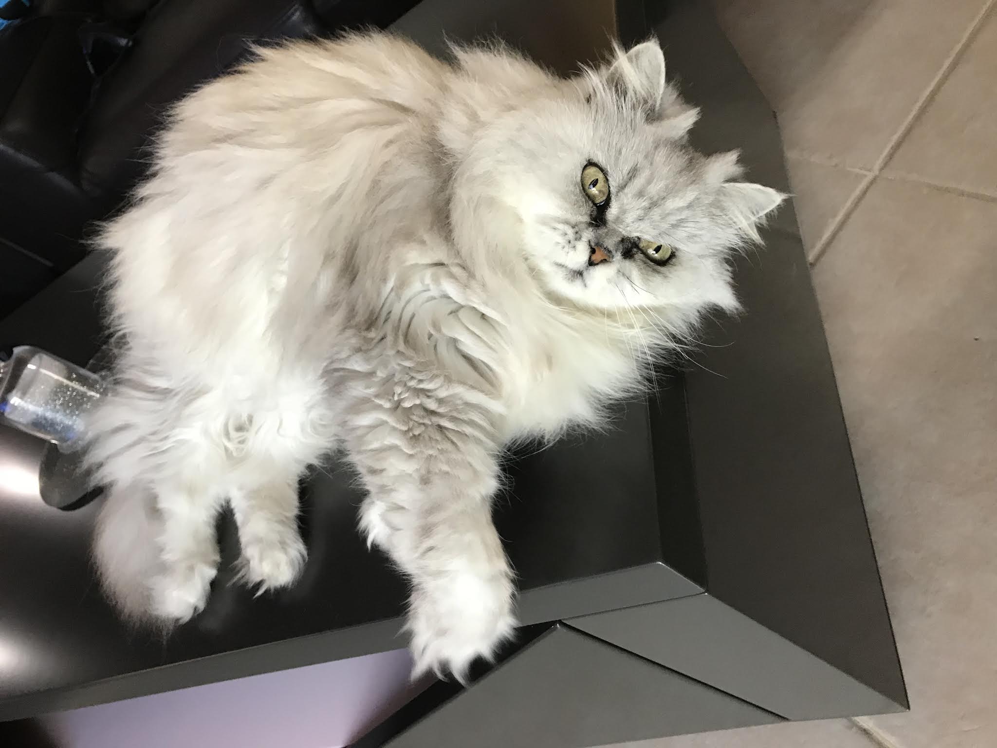 Photo n° 1 de l'avis de nathalie.o fait le 04/12/2018 à 12:00