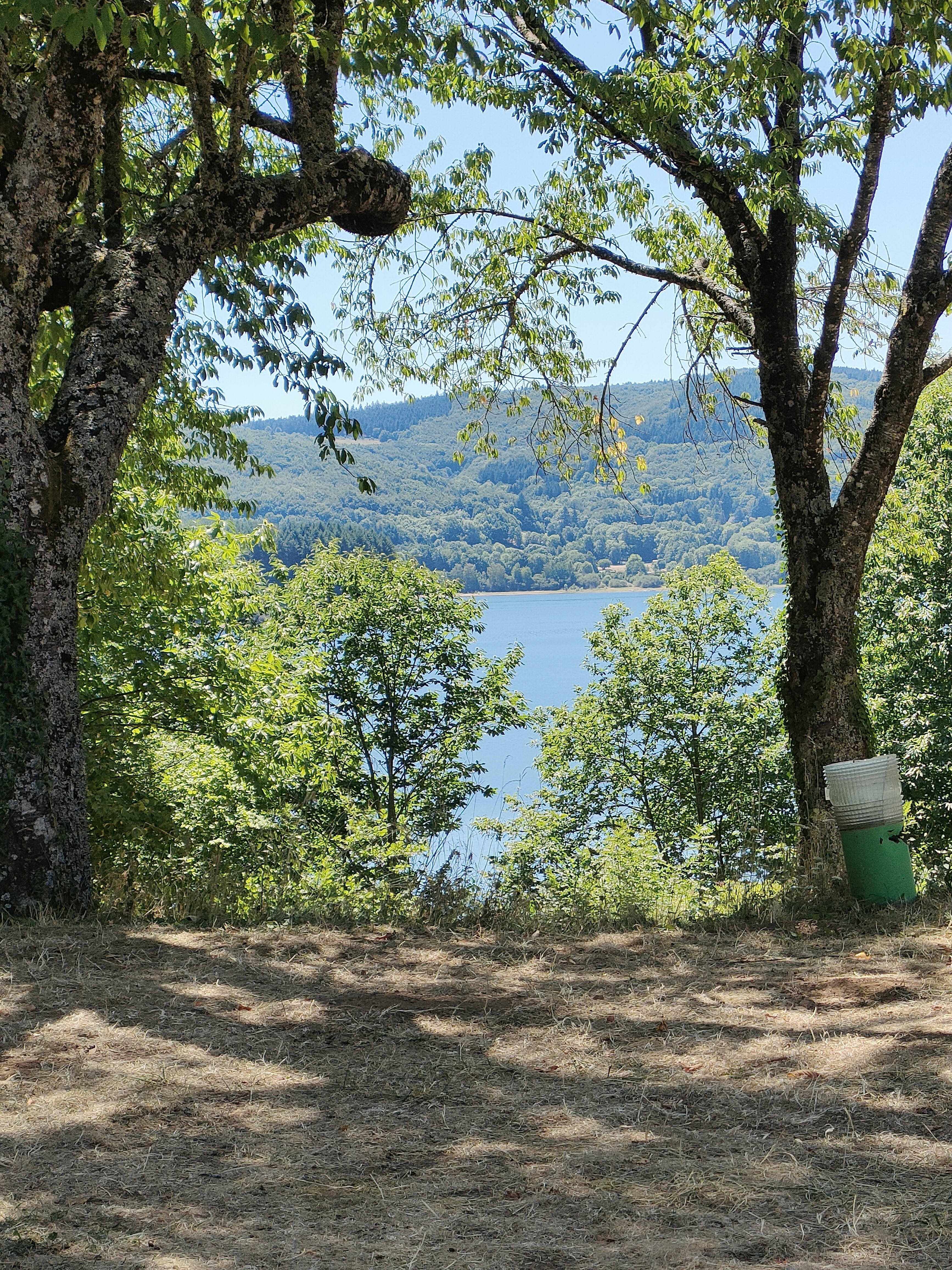 Photo n° 2 de l'avis de Ca.o fait le 13/08/2022 à 07:07