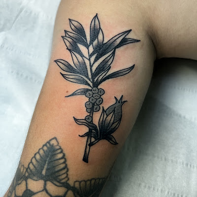 Les Petites Misères - Tatouage Millau - Tattoo - Tatoueur - Aveyron à Millau