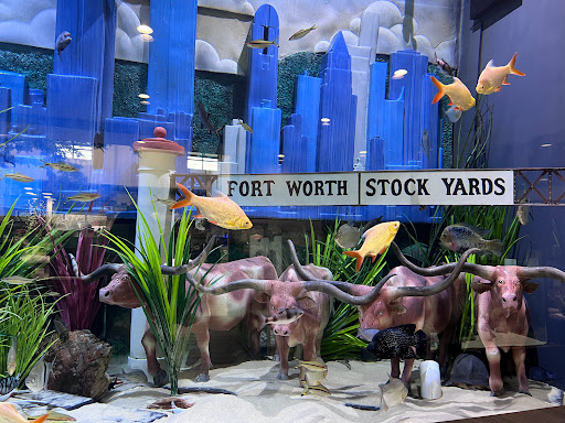 Tropical Fish Store «Fish Gallery», reviews and photos, 6955 Greenville Ave, Dallas, TX 75231, USA