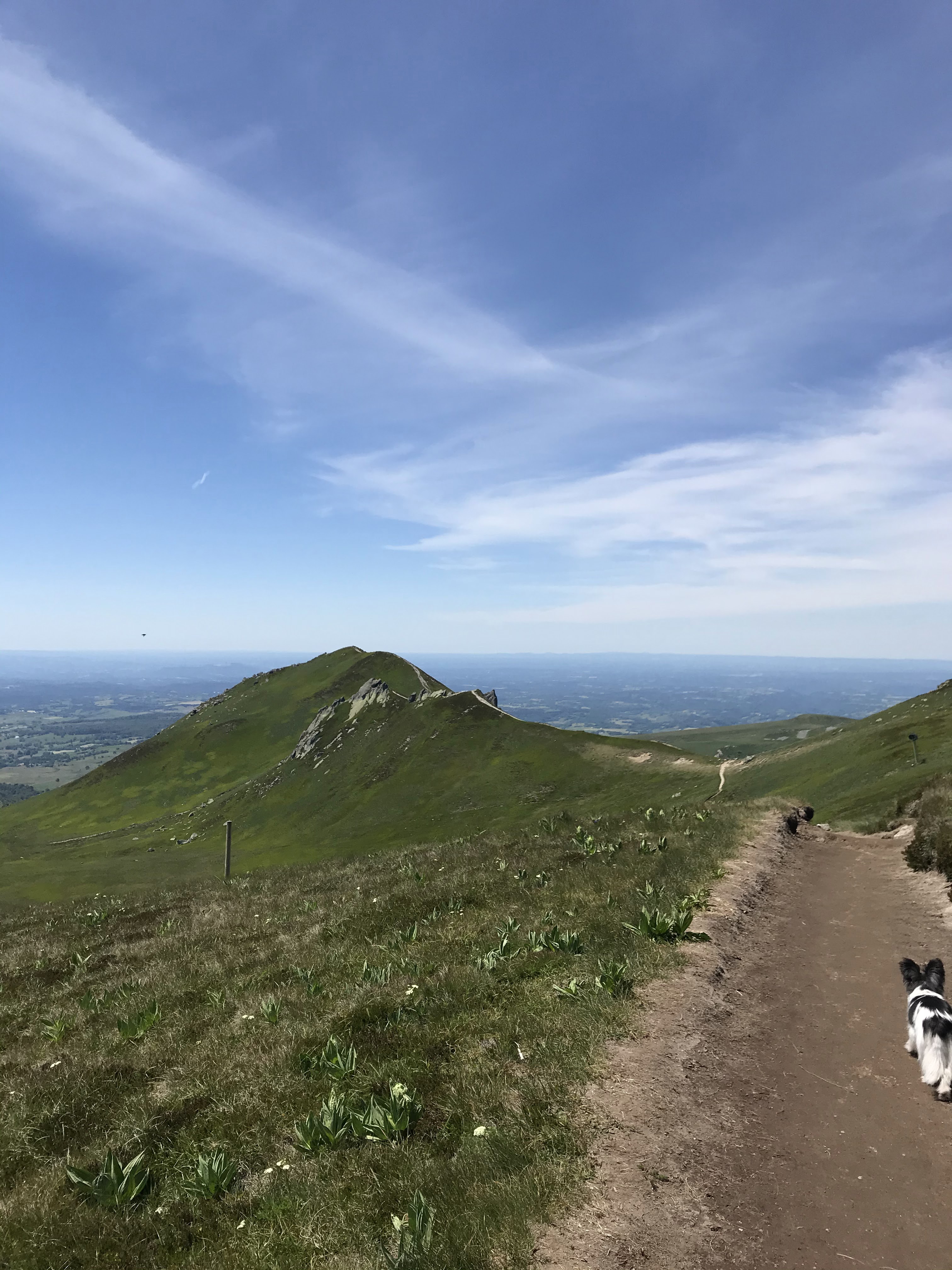 Photo n° 37 de l'avis de axel.l fait le 24/06/2020 à 15:56