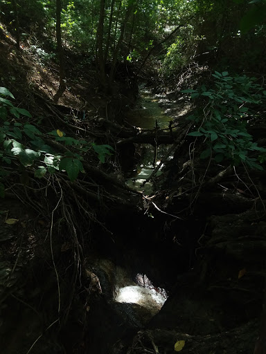 Park «Hoblitzelle Park», reviews and photos, 7500 Red River Dr, Plano, TX 75025, USA