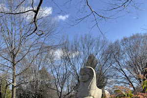 Mt Auburn Sphinx