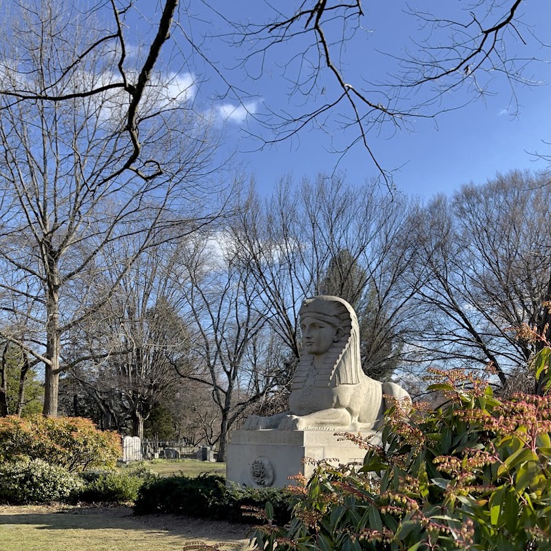 Mt Auburn Sphinx