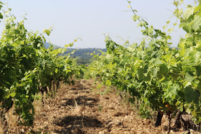 Domaine des Nymphes à Rasteau