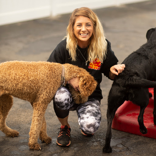 The Dog Stop - Strip District, Pittsburgh