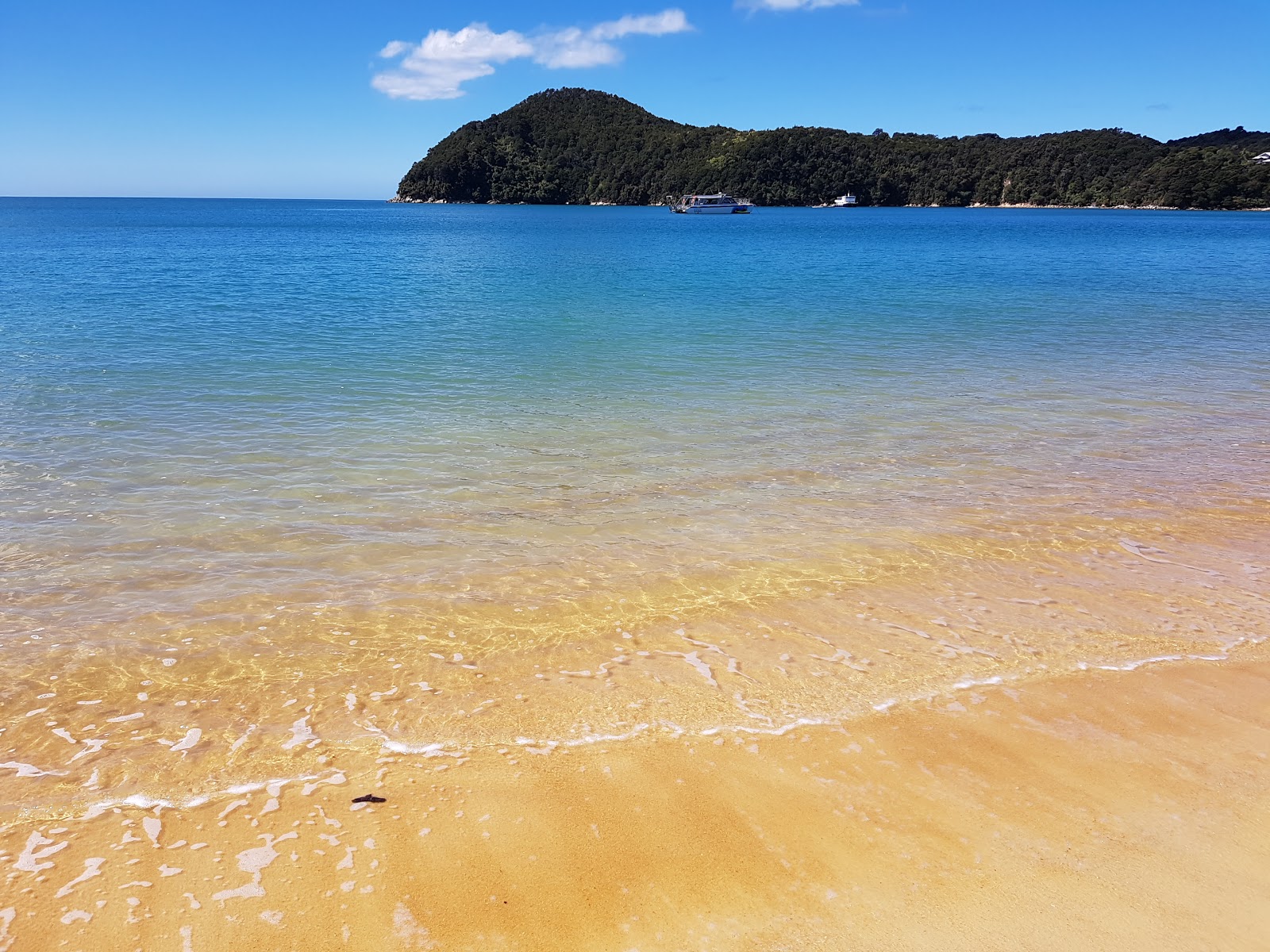 Foto von Anchorage Bay Abel Tasman mit sehr sauber Sauberkeitsgrad