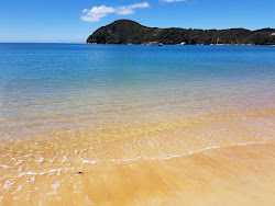 Foto von Anchorage Bay Abel Tasman mit sehr sauber Sauberkeitsgrad