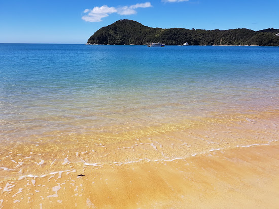 Anchorage Bay Abel Tasman