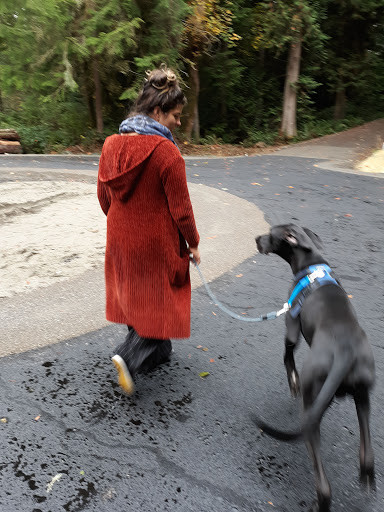 Golf Club «Meadowmeer Golf & Country Club», reviews and photos, 8530 Renny Ln NE, Bainbridge Island, WA 98110, USA