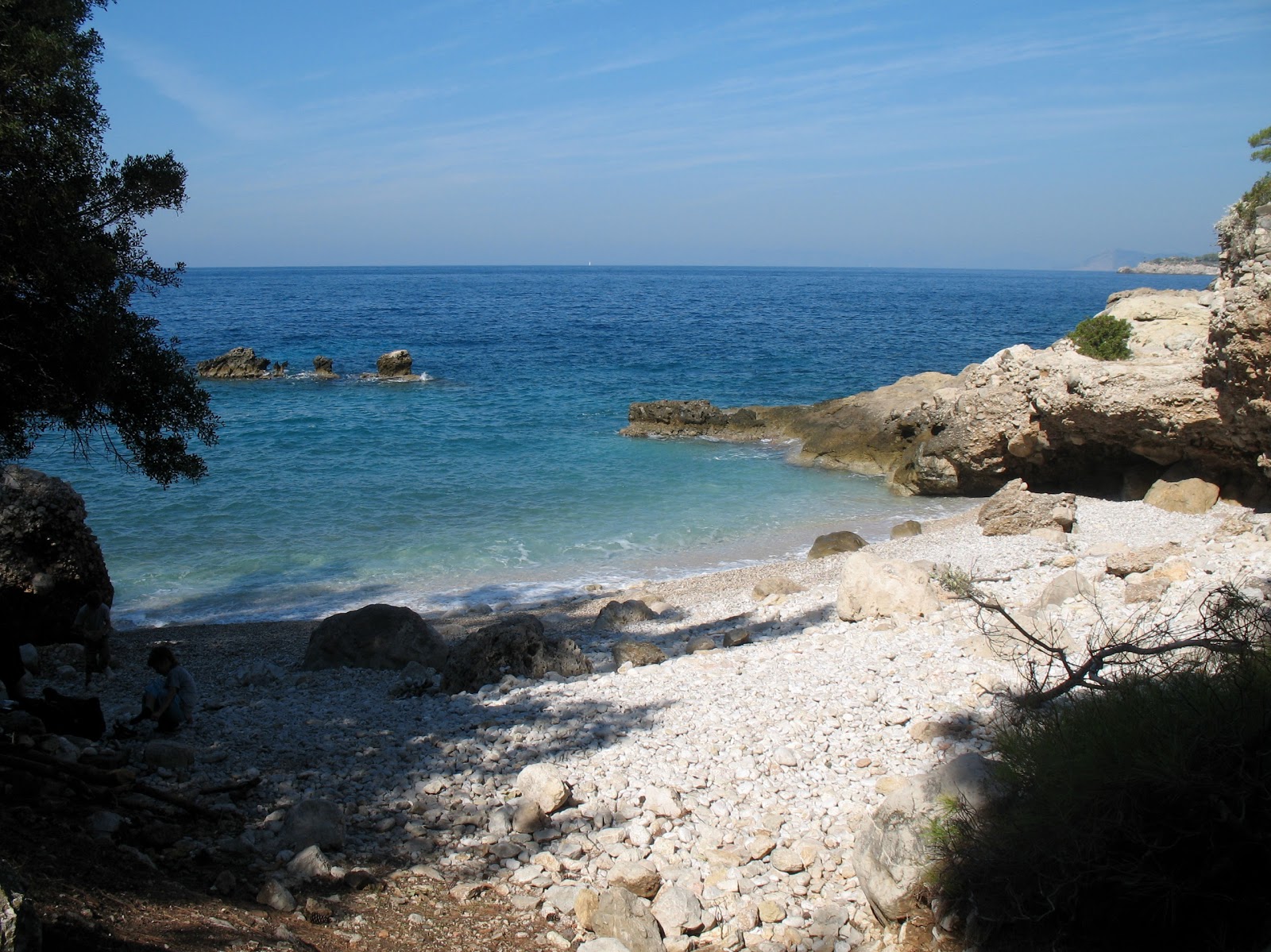 Photo of Kalabantia with white pebble surface