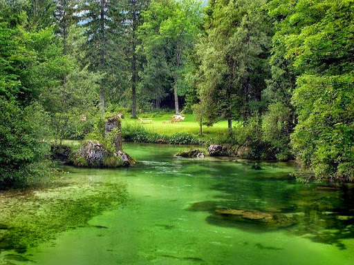 Stadium «Comerica Park», reviews and photos, 2100 Woodward Ave, Detroit, MI 48201, USA