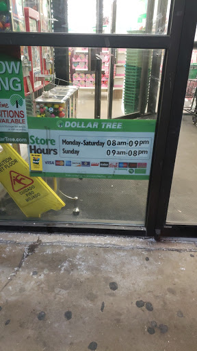 Dollar Store «Dollar Tree», reviews and photos, 4811 Edgmont Ave, Brookhaven, PA 19015, USA