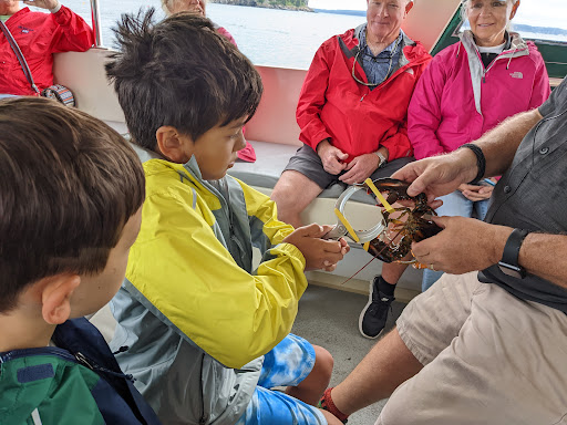 Sightseeing Tour Agency «Lulu Lobster Boat Ride», reviews and photos, 55 West St, Bar Harbor, ME 04609, USA