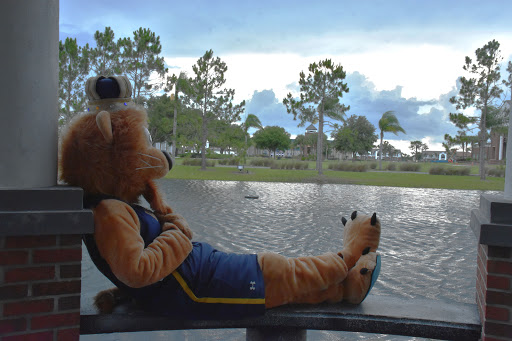 University «Warner University», reviews and photos, 13895 US-27, Lake Wales, FL 33859, USA