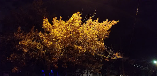 Park «Tuland Park», reviews and photos, W 144th St, Cleveland, OH 44111, USA