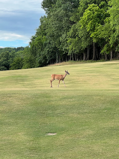 Public Golf Course «Twelve Stones Golf Club», reviews and photos, 1201 12 Stones Crossing, Goodlettsville, TN 37072, USA