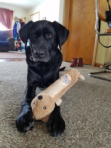 Pet Supply Store «Pet Supplies Plus», reviews and photos, 5092 Mayfield Rd, Lyndhurst, OH 44124, USA