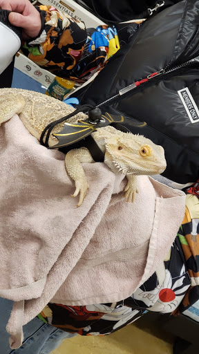 Pet Supply Store «PetSmart», reviews and photos, 162 S Gary Ave, Bloomingdale, IL 60108, USA