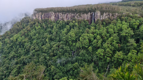 Plasterer in Natural Bridge, QLD, Australia