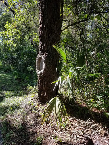 Park «Channel Park Pavillion, Upper Tampa Bay Trail», reviews and photos, 9201 W Waters Ave, Tampa, FL 33615, USA