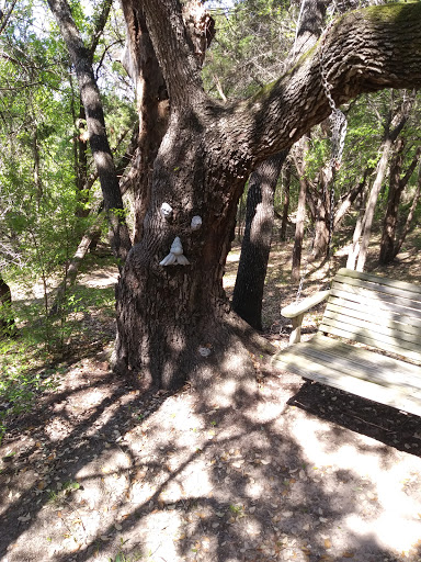 Cabin Rental Agency «Paluxy River Bed Cabins», reviews and photos, 1319 FM 205, Glen Rose, TX 76043, USA