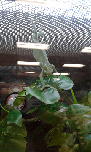 Pet Supply Store «Petco Animal Supplies», reviews and photos, 4950 S 76th St, Greenfield, WI 53220, USA