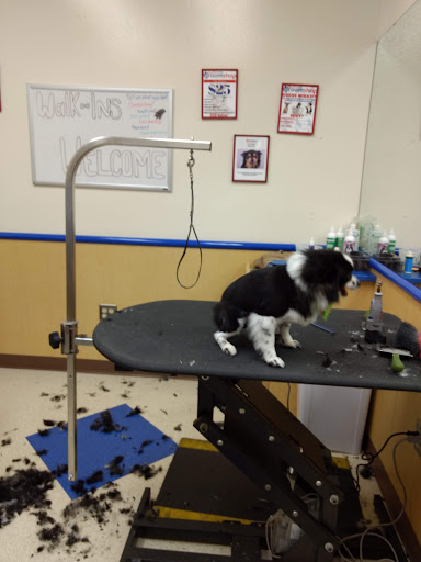 Pet Supply Store «Petsense Murray», reviews and photos, 1550 Lowes Dr, Murray, KY 42071, USA