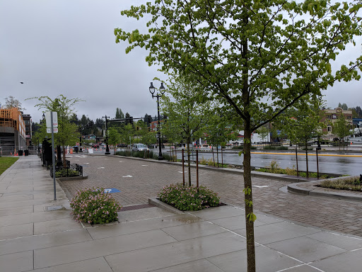 Park «The Park at Bothell Landing», reviews and photos, 9919 NE 180th St, Bothell, WA 98011, USA