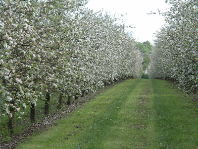 EARL Rouland Frères - La Ferme du Theil Denis et Olivier Rouland à Andouillé