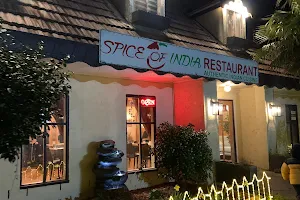 Spice of India Restaurant image