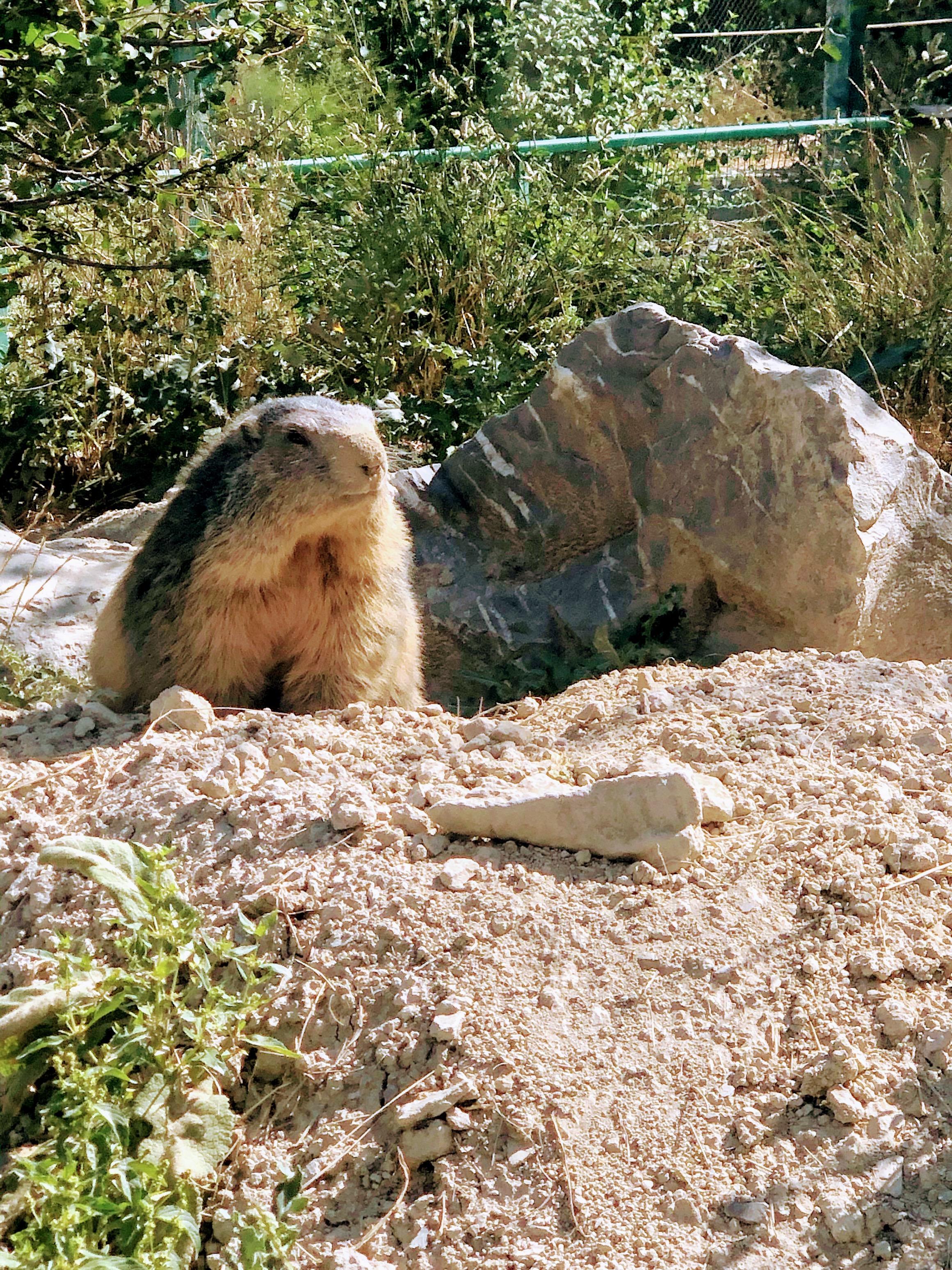 Photo n° 24 de l'avis de Jérémie.r fait le 28/08/2020 à 17:19