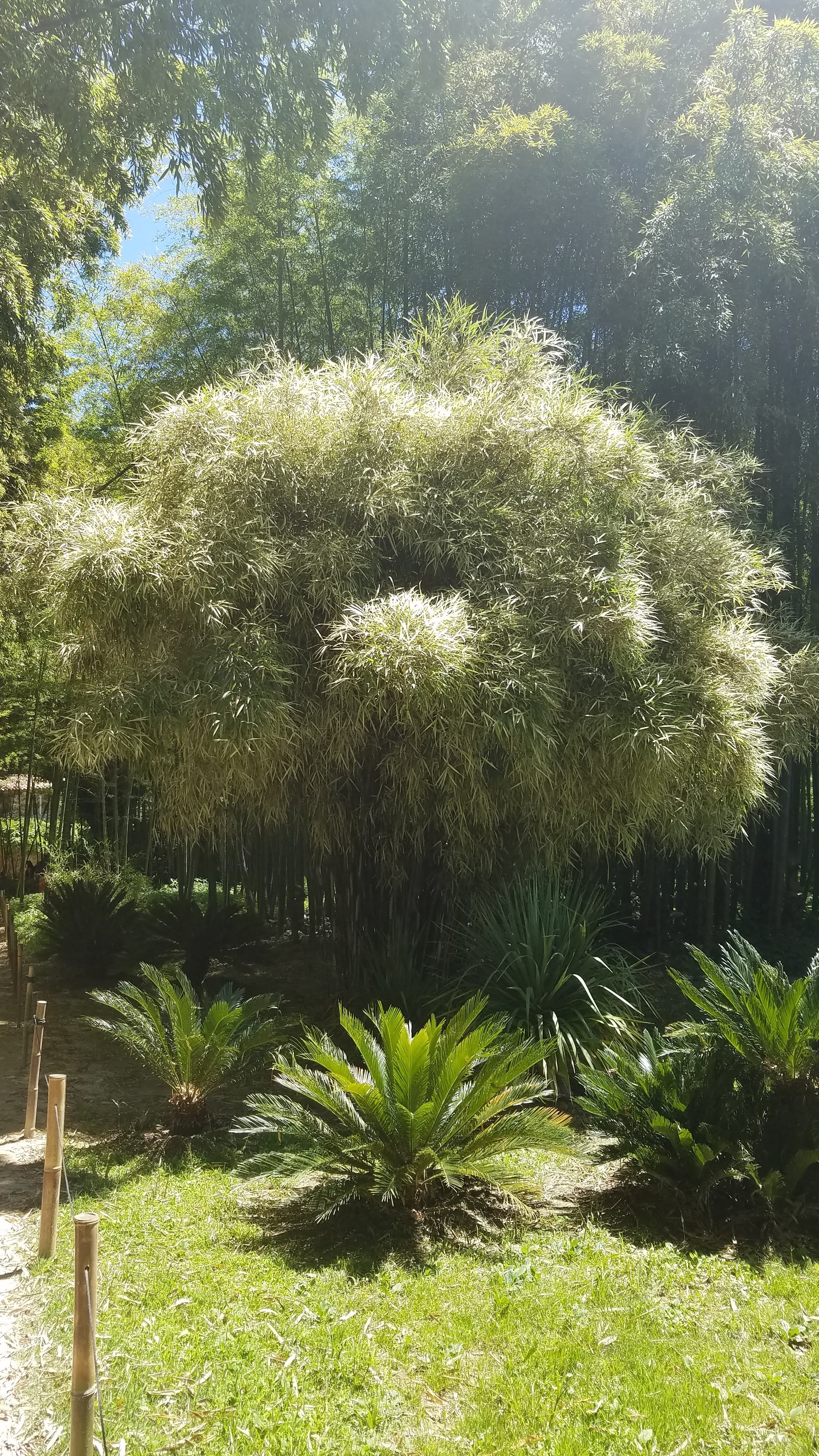 Photo n° 3 de l'avis de peduzzi.l fait le 26/06/2019 à 06:51