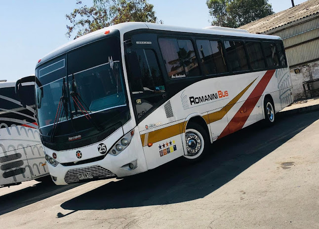 Comentarios y opiniones de Transportes Romanini Bus