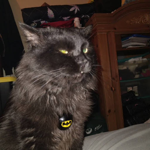 Vaporizer Store «HIGH Maintenance Smoke Shop», reviews and photos, 411 S Mill Ave #101, Tempe, AZ 85281, USA