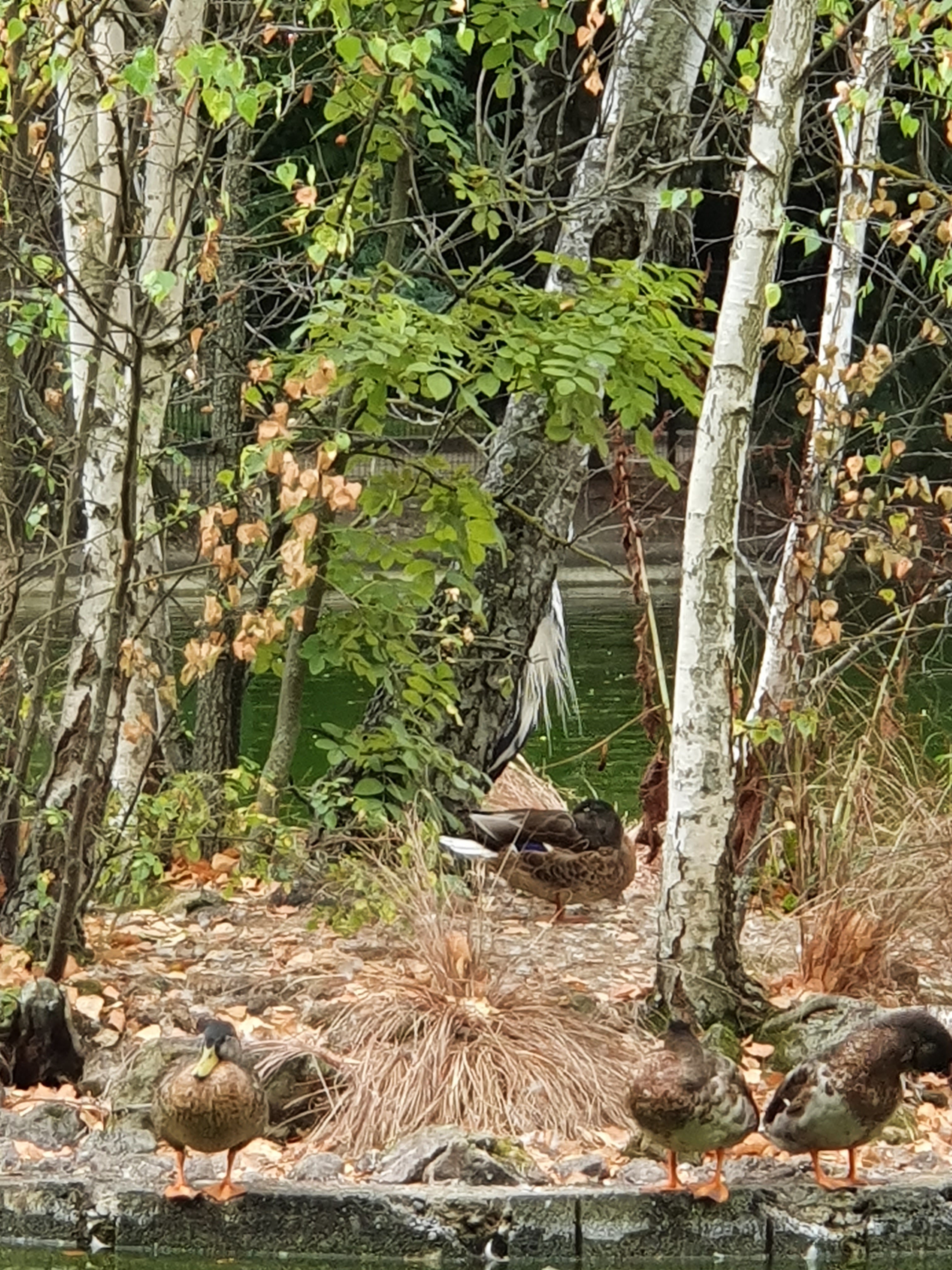 Photo n° 4 de l'avis de Severine.o fait le 24/08/2021 à 16:41