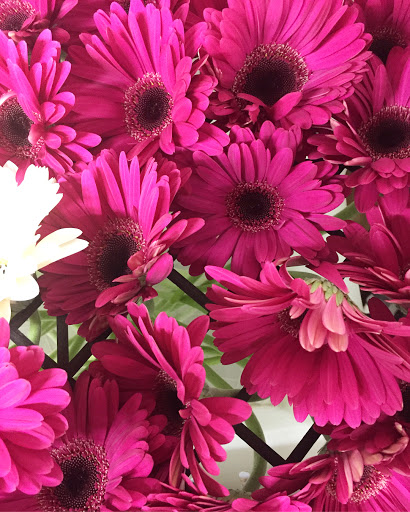 Florist «The Florist at Moana Nursery», reviews and photos, 1110 W Moana Ln, Reno, NV 89509, USA