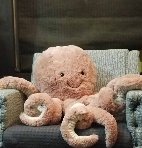 Toy Store «Happy Up Inc. - previously Once Upon a Toy», reviews and photos, 6654 Edwardsville Crossing Dr, Edwardsville, IL 62025, USA