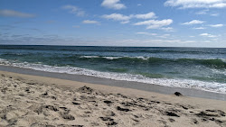 Tamarack beach'in fotoğrafı - rahatlamayı sevenler arasında popüler bir yer