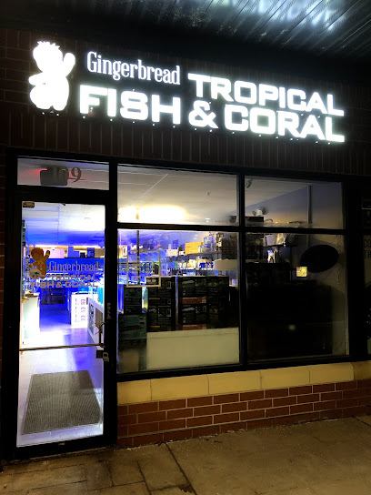 Gingerbread Tropical Fish & Coral