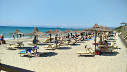 Foto von Pasha Glam Dog Beach mit lange, gerade küste