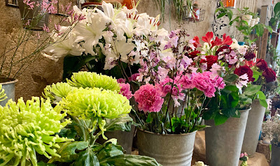 Floridée à Villefranche-de-Rouergue