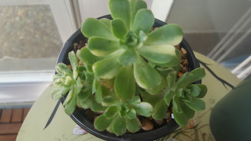 Campground «Bay View Campground», reviews and photos, 260 MacArthur Blvd, Bourne, MA 02532, USA