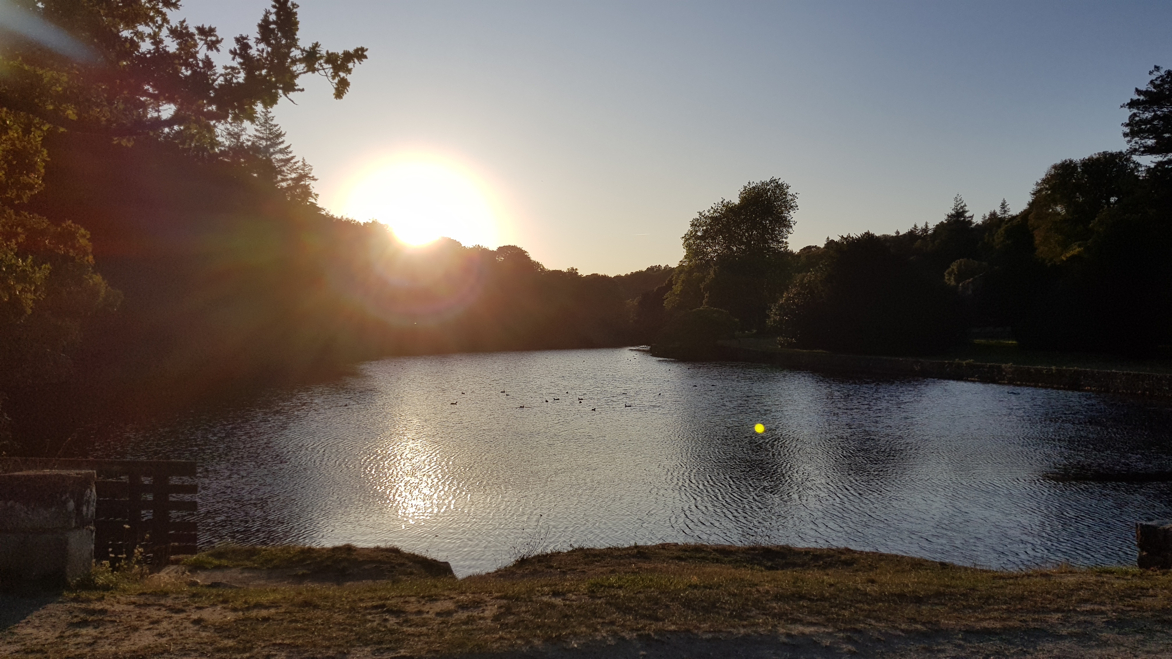 Photo n° 5 de l'avis de léa.r fait le 24/11/2019 à 13:13