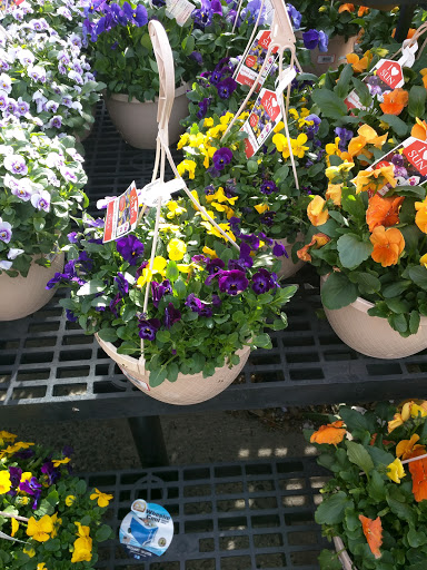 Discount Store «Walmart», reviews and photos, 700 Marketplace Blvd, Hamilton Township, NJ 08691, USA