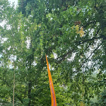 Photo n°37 de l'avis de Rosmy.a fait le 07/11/2023 à 22:04 sur le  Park Residence Bei Wu à Wesenberg