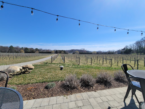 Winery «Great Frogs Winery», reviews and photos, 3218 Harness Creek Rd, Annapolis, MD 21403, USA