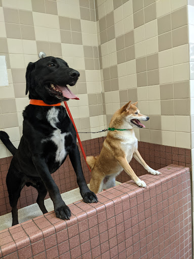 Pet Food Express image
