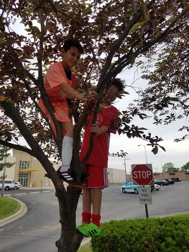 Tourist Attraction «Leaning Tower of Niles», reviews and photos, 6300 Touhy Ave, Niles, IL 60714, USA