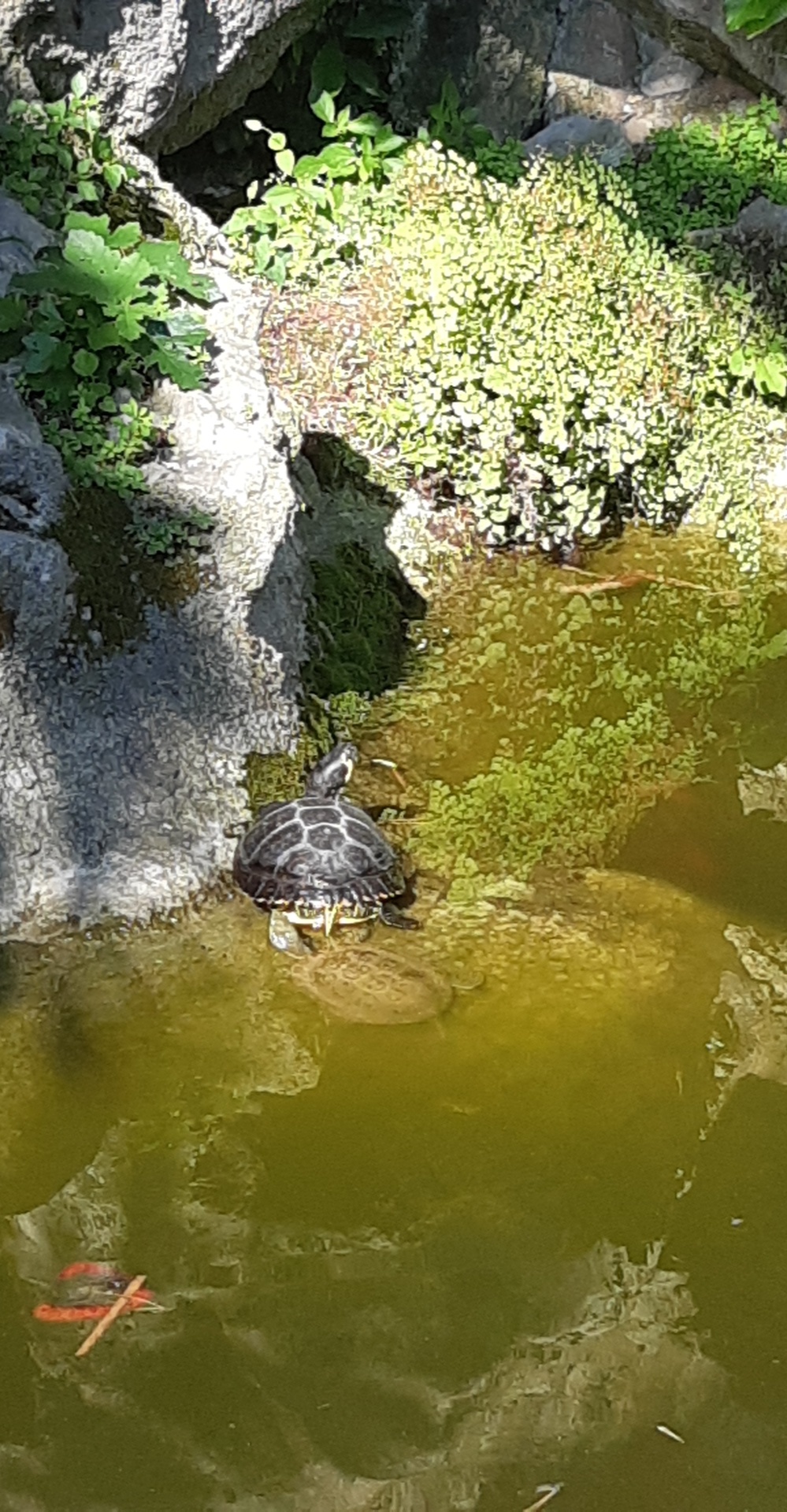 Photo n° 1 de l'avis de Guillaume.E fait le 03/06/2019 à 15:49